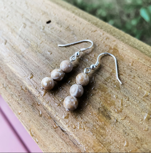 Michigan Petoskey Stone Earrings